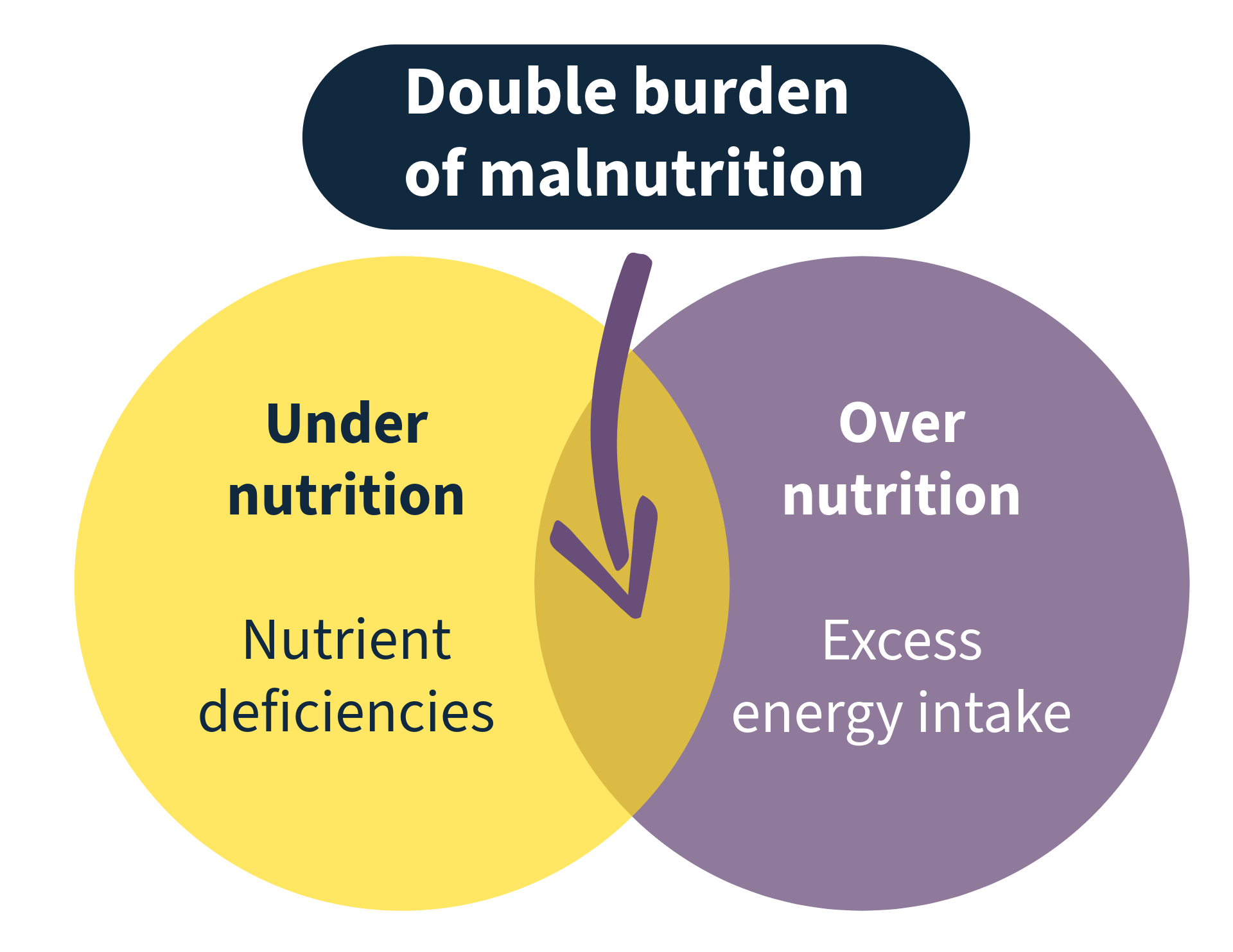 Podcast 2 Website Article Image 2