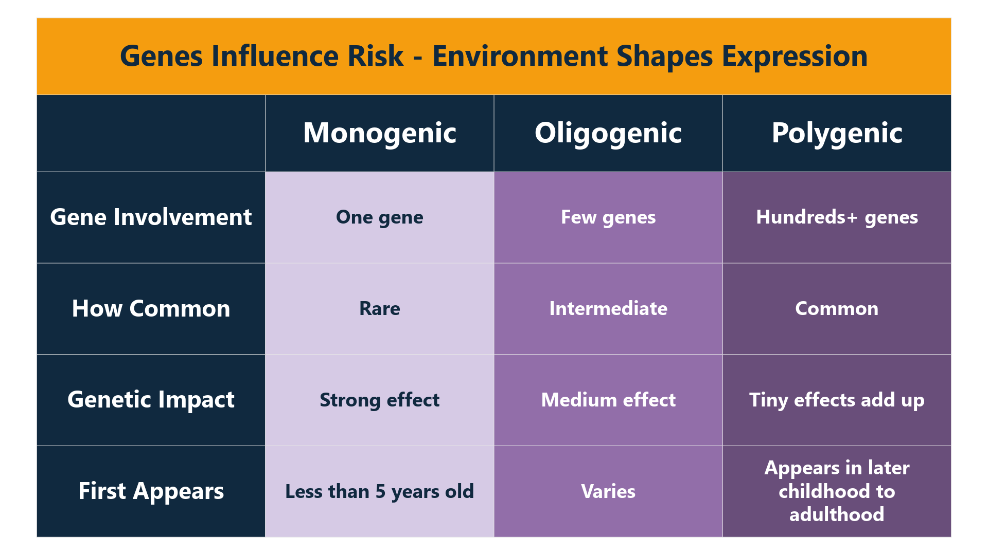 WEBSITE ARTICLE The Genetics of Obesity 1