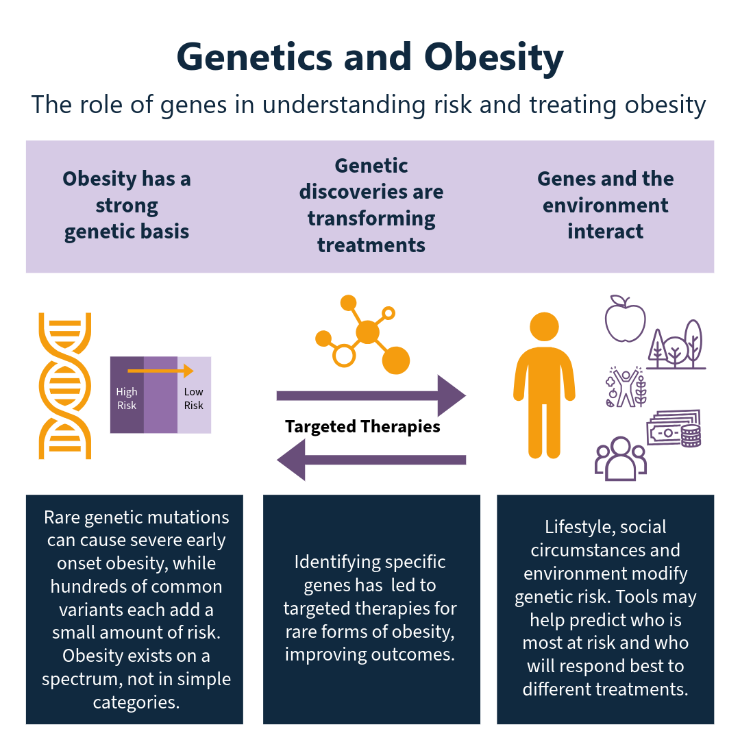 WEBSITE ARTICLE The Genetics of Obesity 4