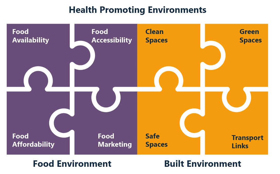 Website Article Obesogenic Environment 3